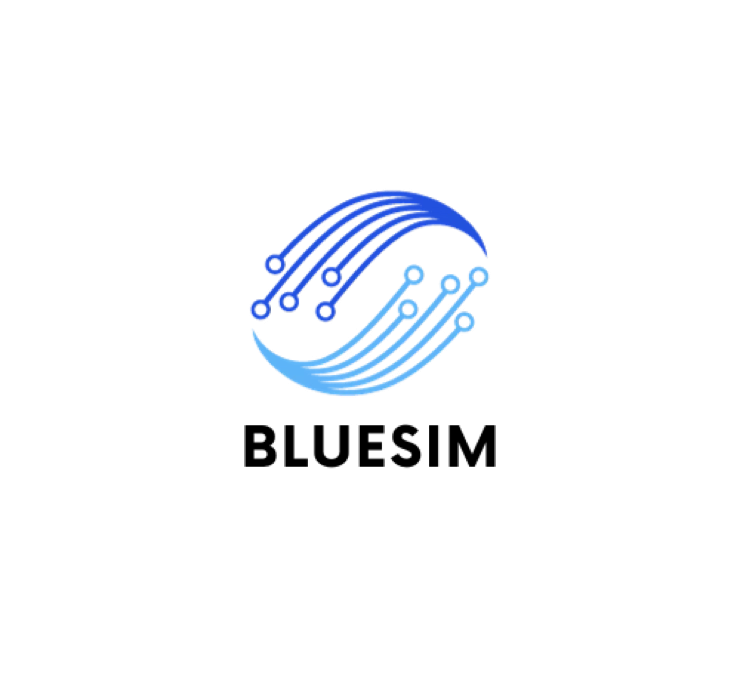 BLUESIM Approach